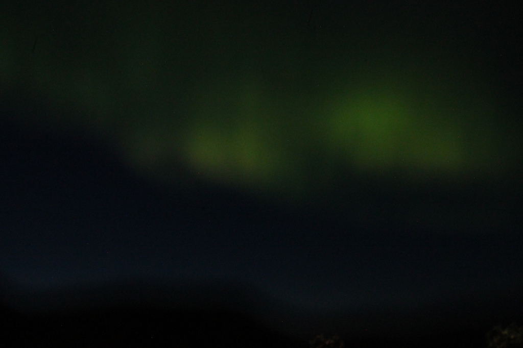 Here are some blurry northern lights photos I took in Iceland. They basically looked the same from the plane window.